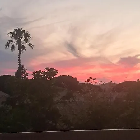 2 Pièces Terrasse 39m2 à 500m De La Le Lavandou