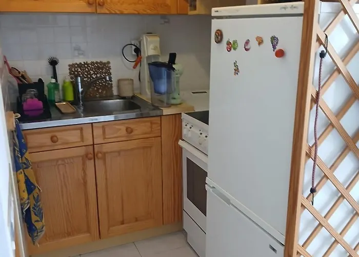 公寓 2 Pieces Terrasse 39m2 A 500m De La *